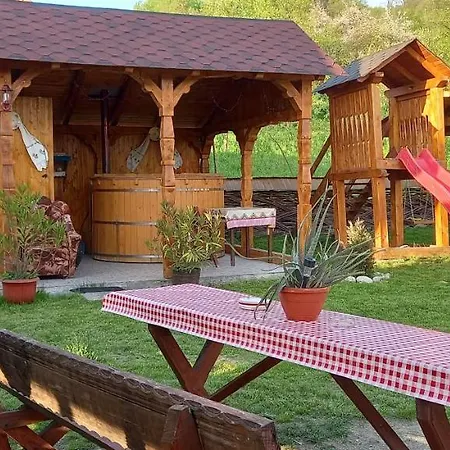 Homestay Casa Pintea De Sub Coasta Breb
