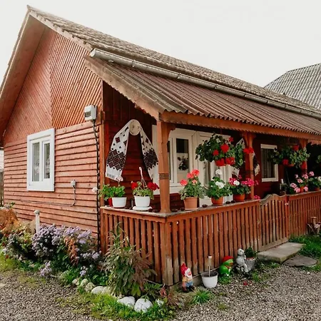 Homestay Casa Pintea De Sub Coasta