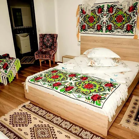 Homestay Casa Pintea De Sub Coasta *