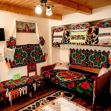 Casa Pintea De Sub Coasta Homestay