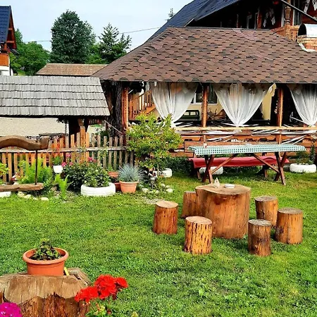 Homestay Casa Pintea De Sub Coasta *