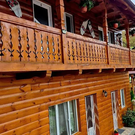 Casa Pintea De Sub Coasta Homestay Breb