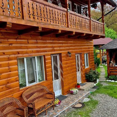 Homestay Casa Pintea De Sub Coasta Breb