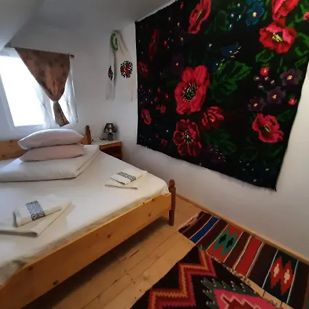Casa Pintea De Sub Coasta Homestay Breb