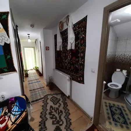 Casa Pintea De Sub Coasta Homestay